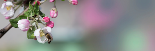 花粉の季節、敏感肌のケアどうしてる?