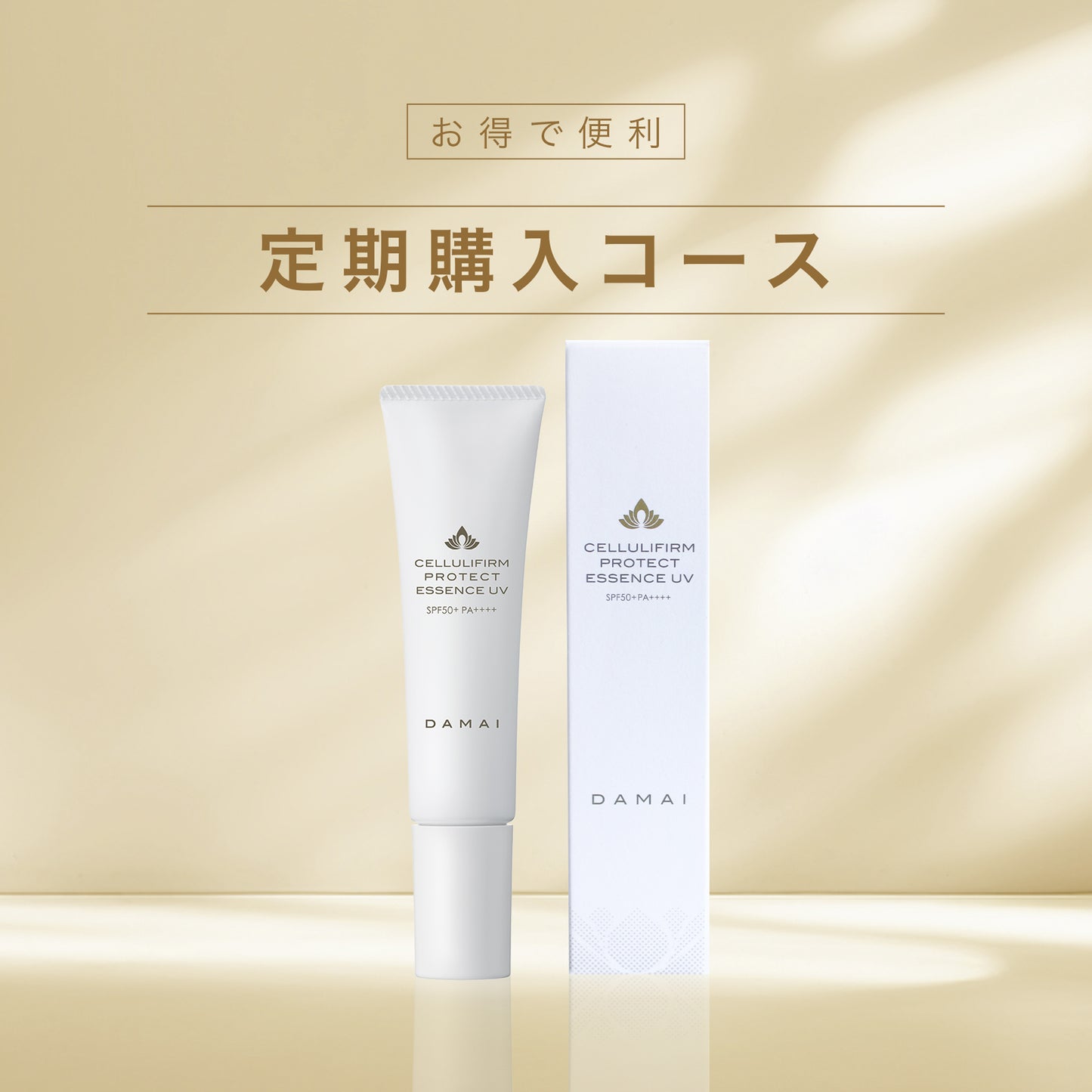 ショート定期 UV