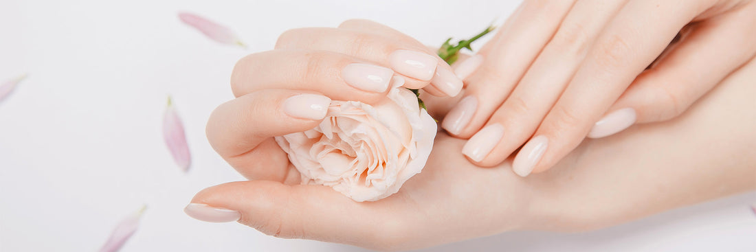 プロが毎日行う手元ケア