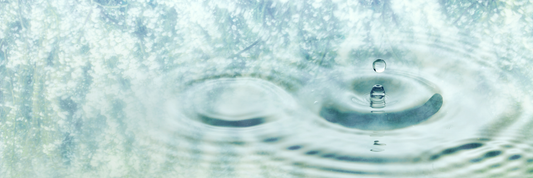 初夏前に始めたい、ゆらがない肌づくり