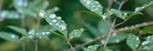 梅雨のベタつき・毛穴悩みに。肌を整える“磨くケア”
