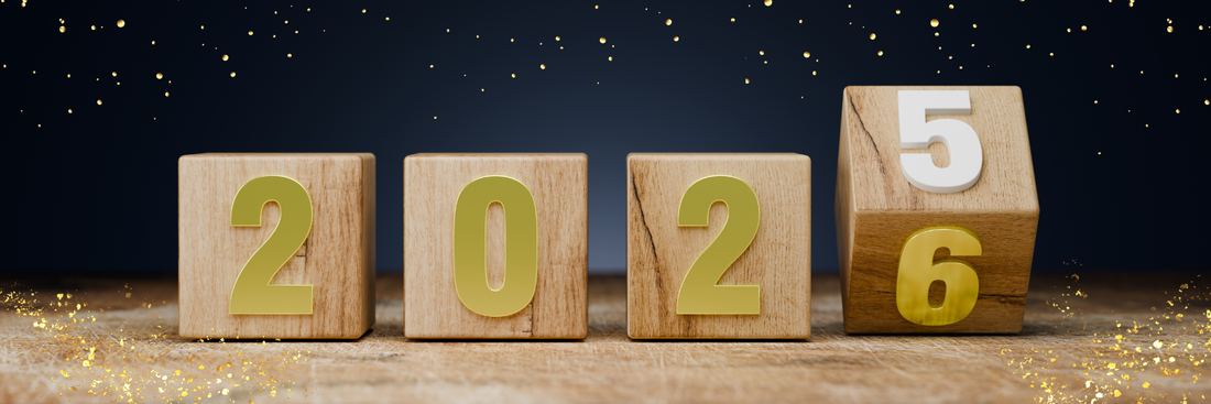 2025年、DAMAIとともに歩んだ一年