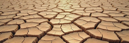 最近、肌つっぱってない？